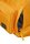 American Tourister Urban Groove Ug16 Backpack City Yellow