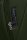 Samsonite Litebeam Spinner 66/24 Exp Climbing Ivy