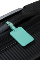American Tourister Zubehör Luggage Tag X2 Jelly Mint