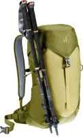 Deuter AC Lite 16 linden-cactus