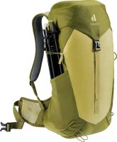 Deuter AC Lite 24 linden-cactus