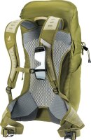 Deuter AC Lite 24 linden-cactus