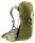 Deuter AC Lite 24 linden-cactus