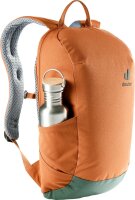 Deuter Rucksack Stepout 12 chestnut-ivy