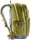 Deuter Cotogy cactus