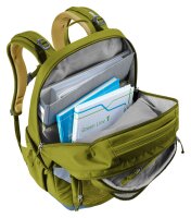 Deuter Cotogy cactus-kelp