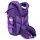 Belmil Maxi Plus Schulranzenset Twilight Charm