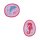 DerDieDas Wechselbuttons, 2tlg. Kletties Coral Reef