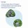 Scout Funny Snaps Move 2er Set Magnet Danger Dino